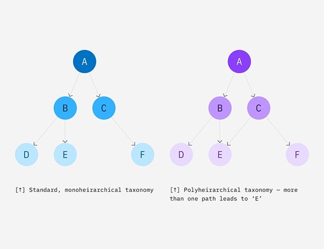 Standard Taxonomy