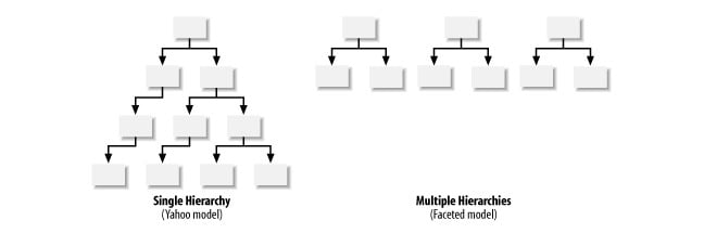 Hierarchy Of Taxonomy